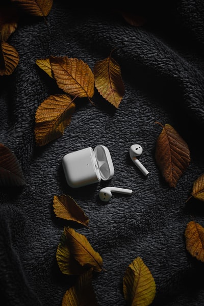 带充电器盒的苹果AirPods